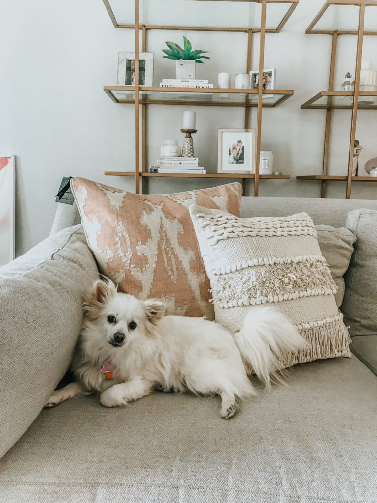 how to get rid of fur on furniture