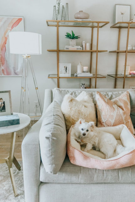 dani-austin-living-room-tour-home-decor-wayfair-bookcases-lola-dog-768x1024