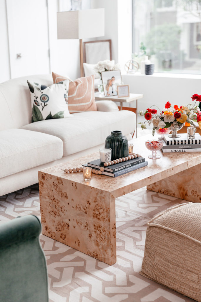 dani austin living room reveal