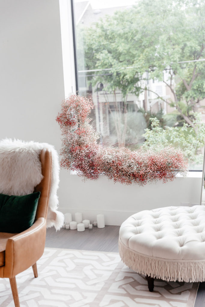 dani austin Living Room Reveal
