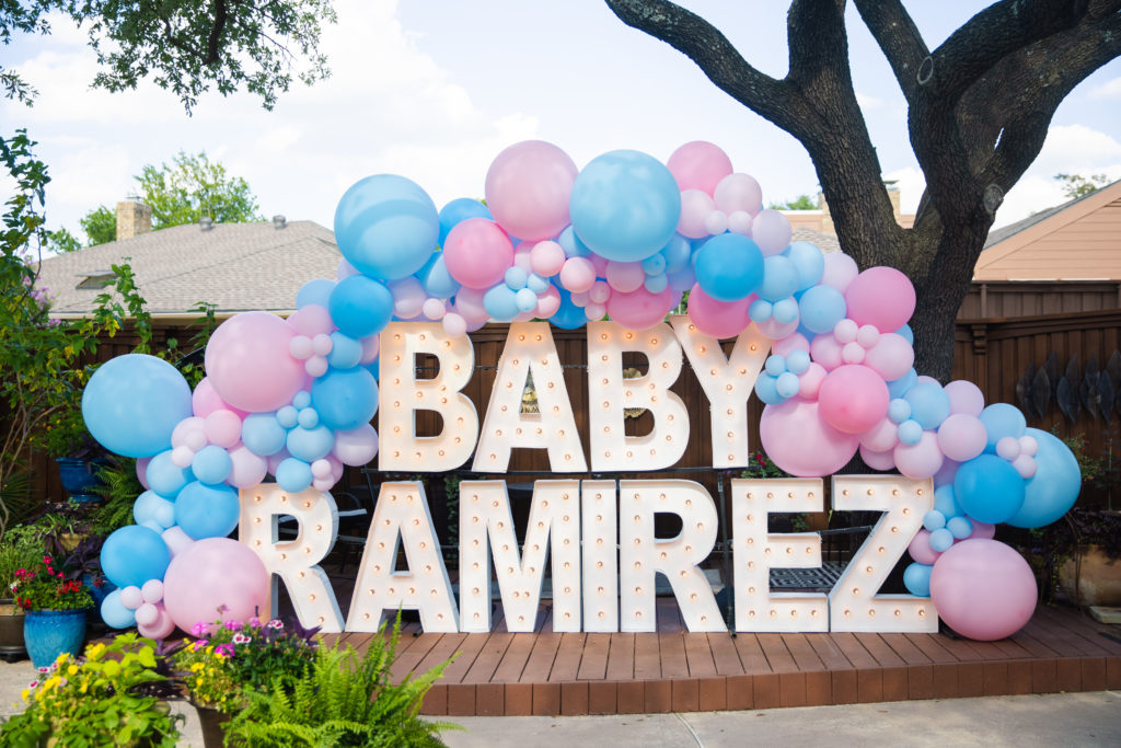 dani austin gender reveal