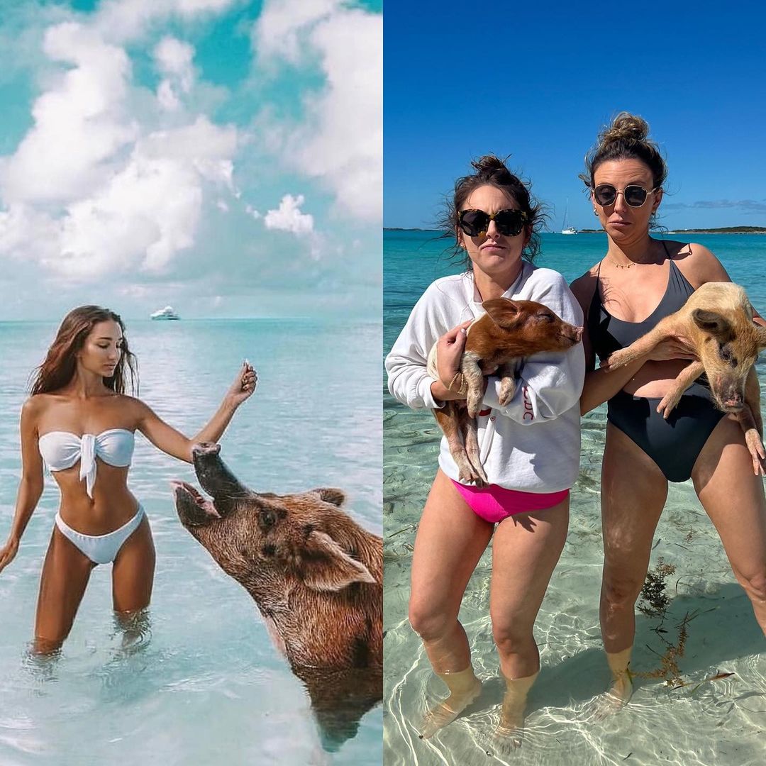 dani austin bahamas tropical trip